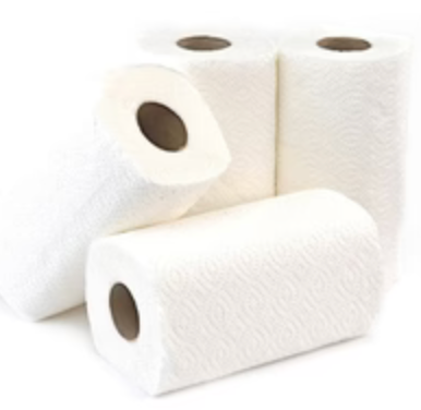 Pristine Premium Perforated Kitchen Towel Roll 2PK